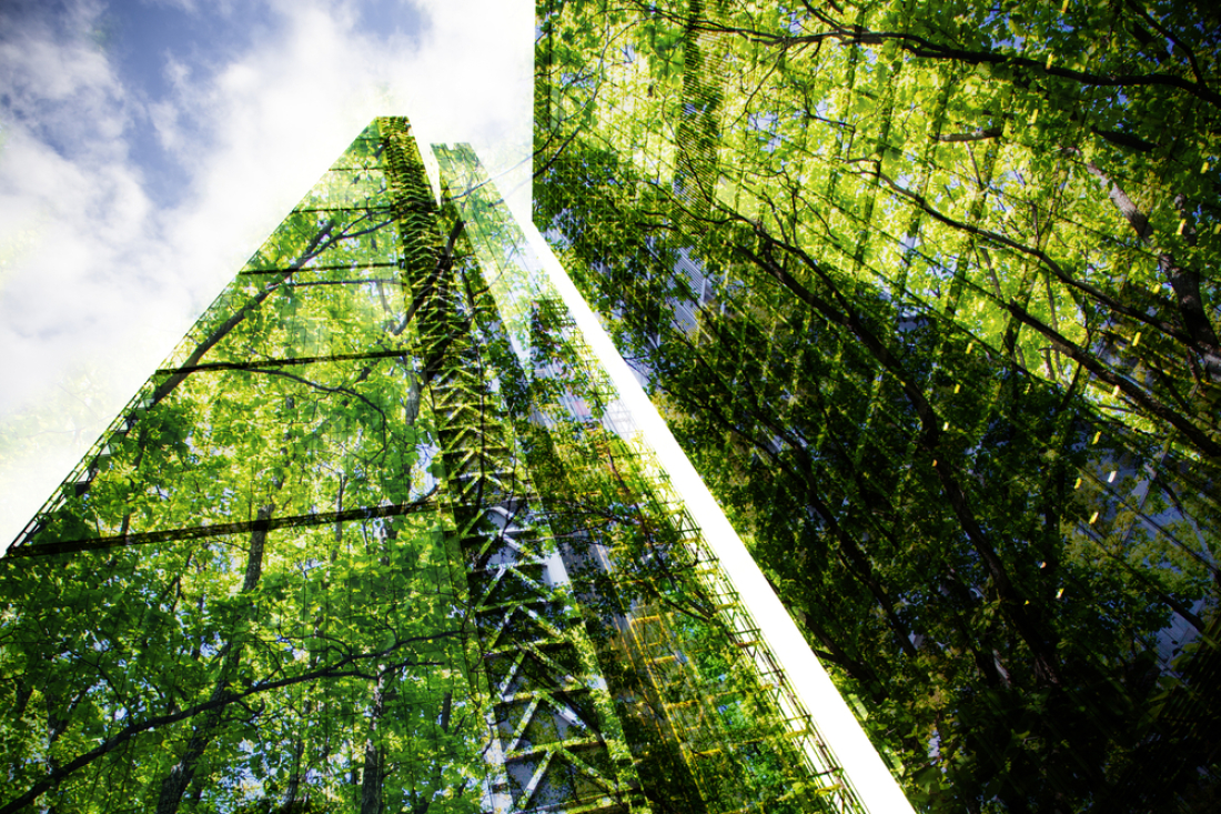 Green building en France et dans le monde. Les sky scrapers peuvent-ils être éco-responsables ?