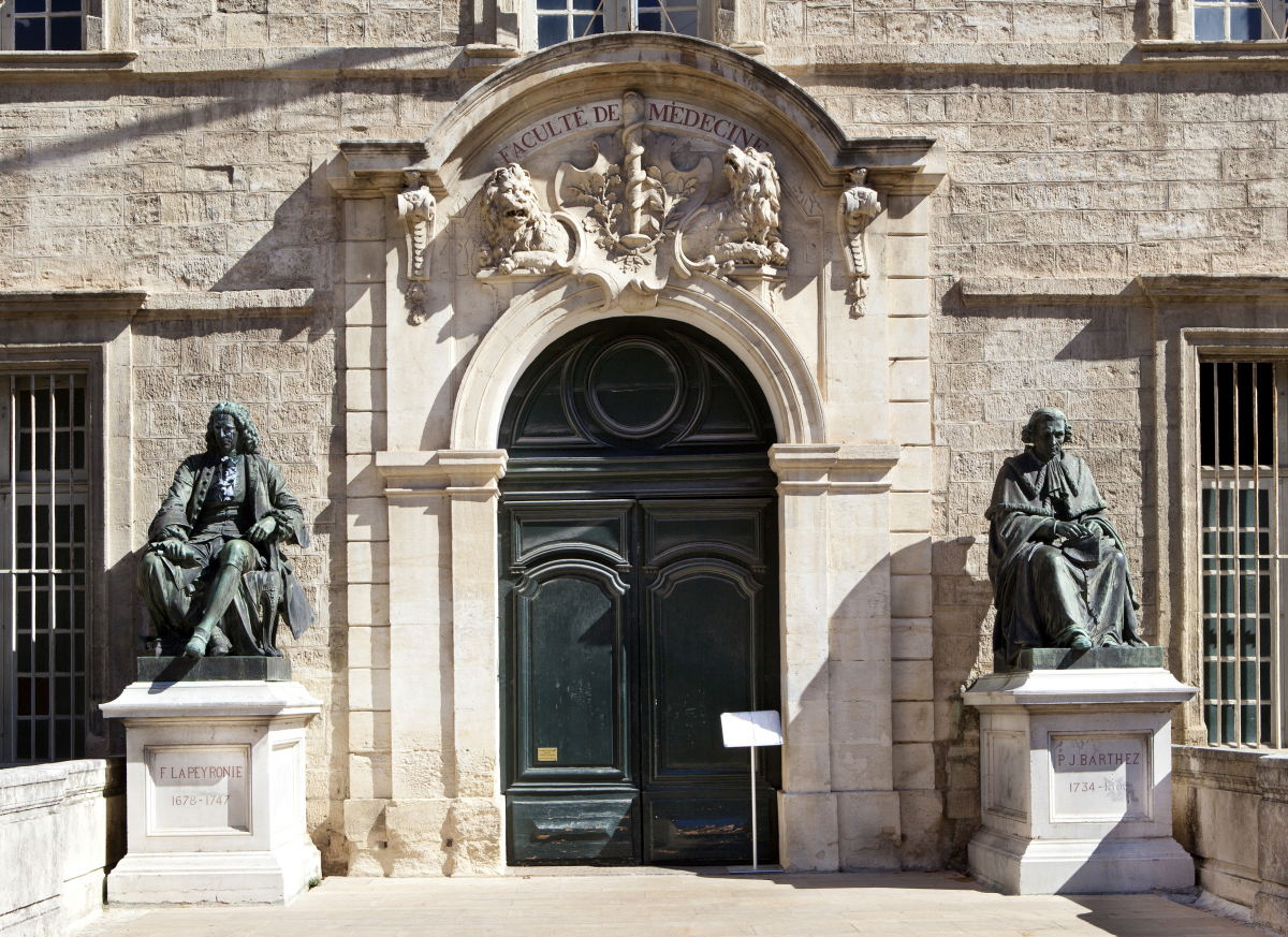 loi Pinel 2023 Montpellier – la faculté de médecine de montpellier