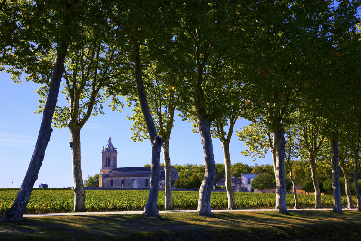 Plafond ressources Pinel 2023 – Un domaine viticole dans le bordelais