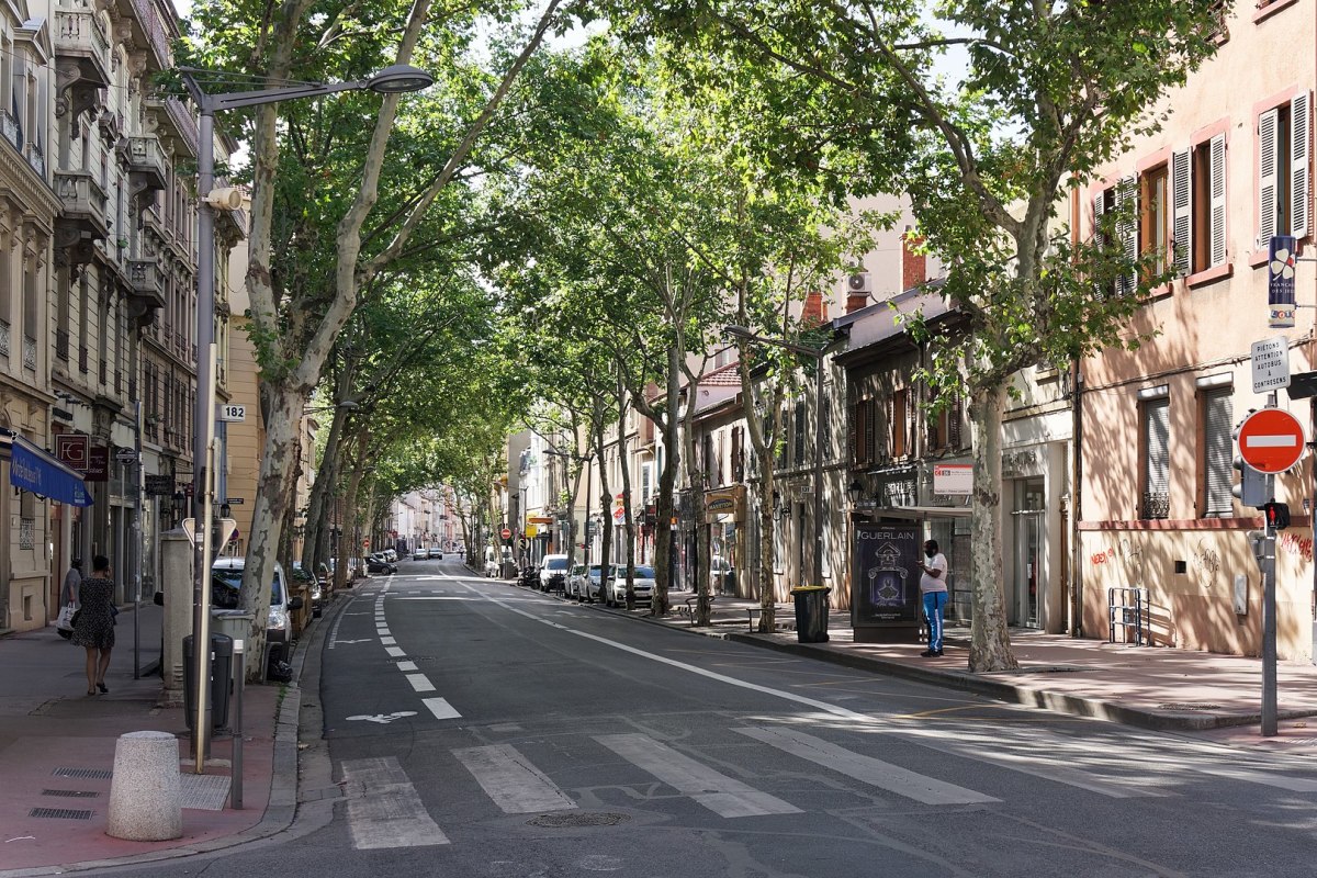 Pinel Lyon 2023 – L'avenue des Frères-Lumière, qui traverse le quartier Monplaisir